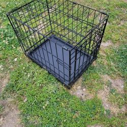 GAGE FOR SMALL PUPPY . 30.00 NO LESS