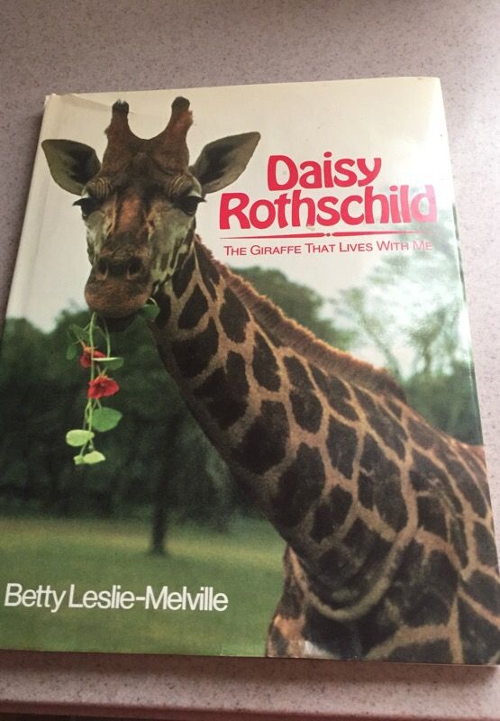 Daisy Rothschild children's book