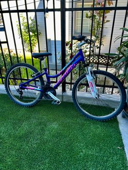 SCHWINN RANGER YOUTH MOUNTAIN BIKE 24” Wheels