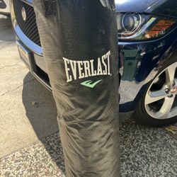 Everlast 50 Lbs 