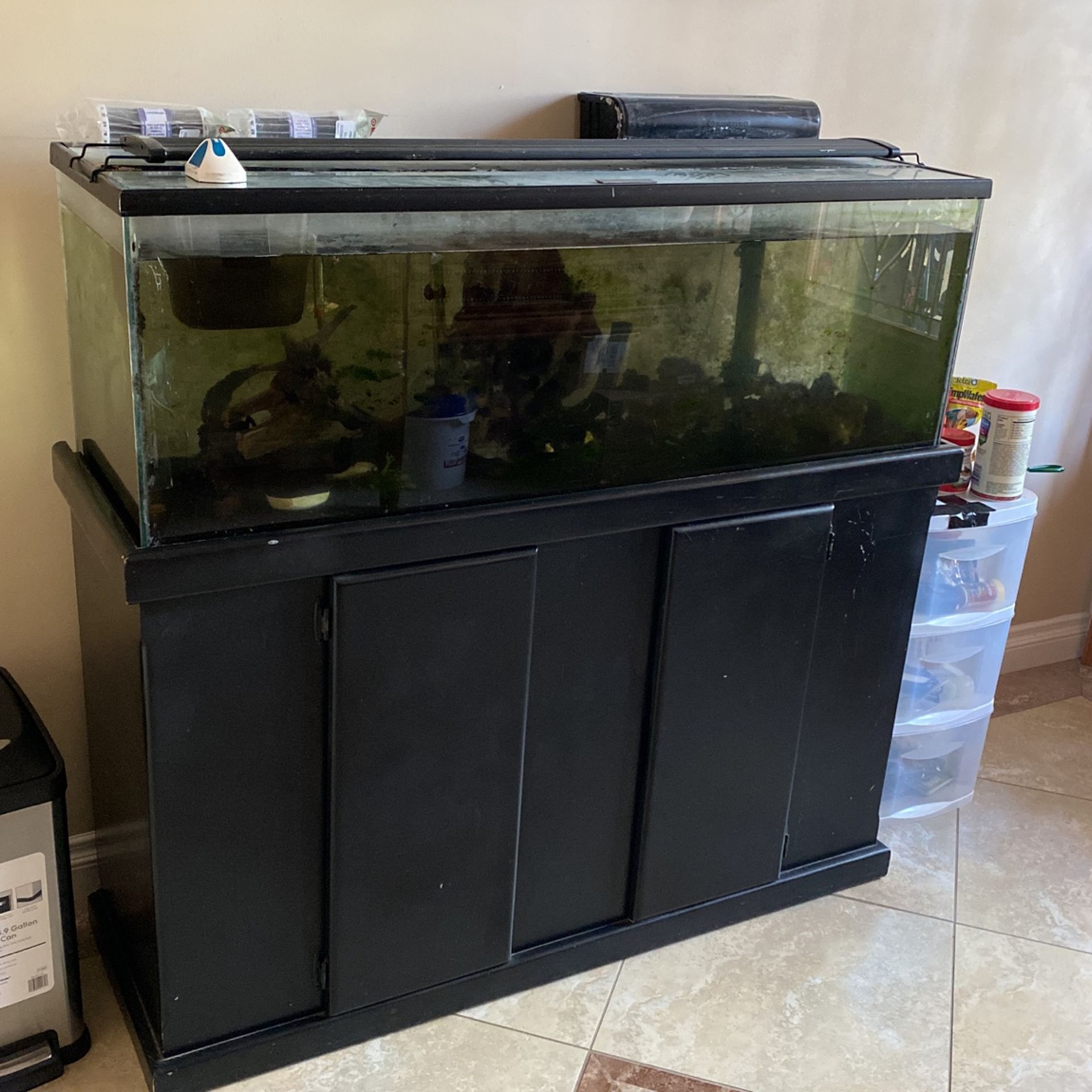 60 Gallon Glass Fish Tank With Stand Ready To Go