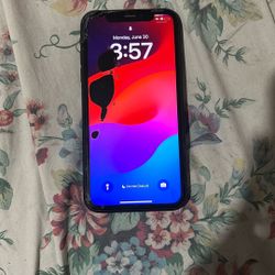 iPhone XR