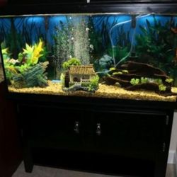 90 Gal. Saltwater Tank /Wet /Dry Filter/Cabinet... Come See It And Make Me A Decent Offer