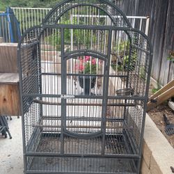 Bird Cage 