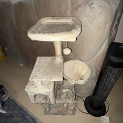 Cat Tree 