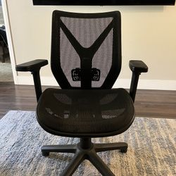 Computer / Office Chair