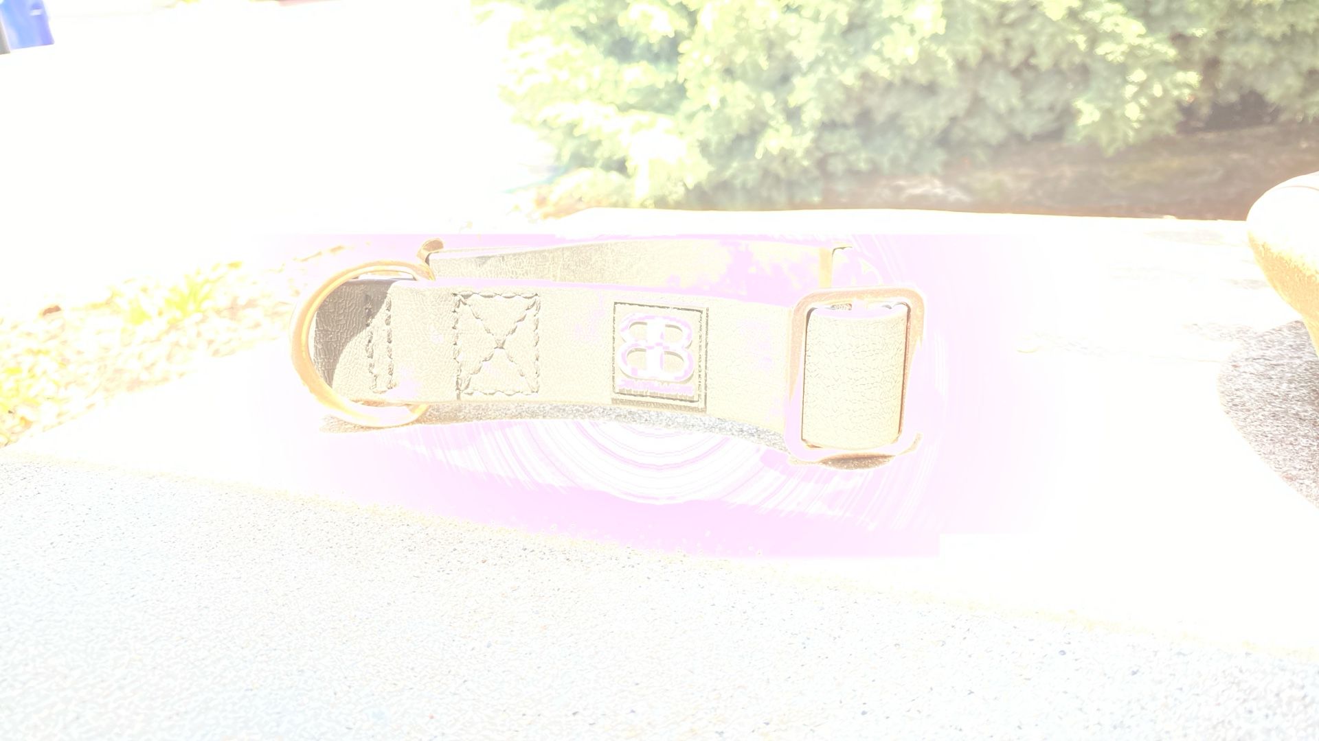 Dog Collar Bully Billows