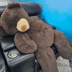 Big Plush Teddy Bear 