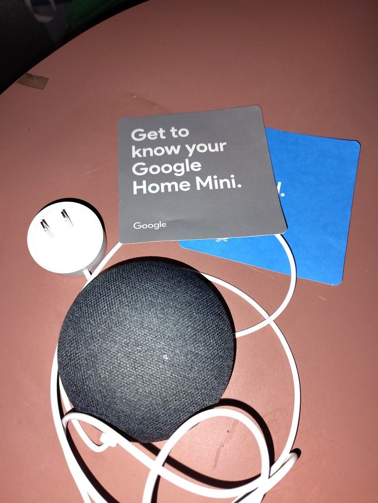 Google Mini