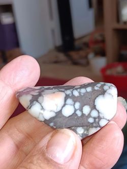 WILD HORSE/ MAGNESITE GEM