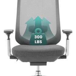 Ergonomic Office Chair 