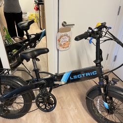 Electric Bike Experience 