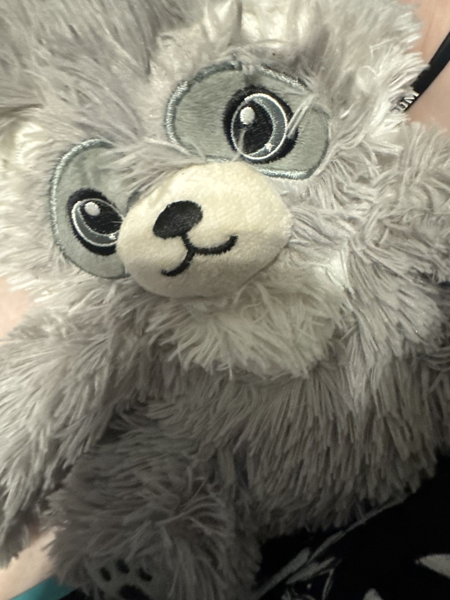 Raccoon