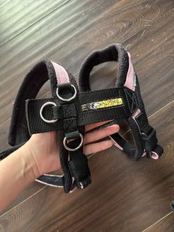 Alpine Outfitters- Urban Trail Harness(Small)