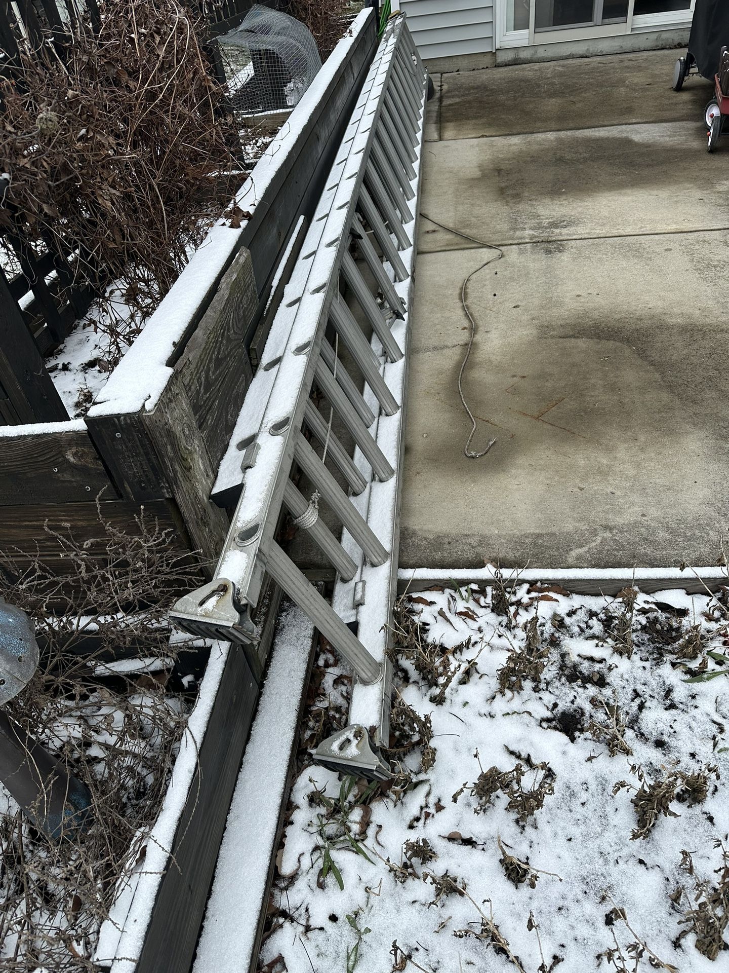 40’ Ladder- Black Tip