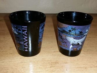 Hawaii shot glasses