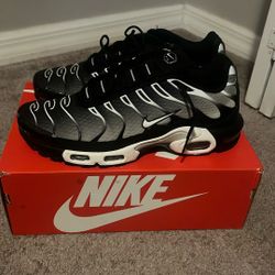 Nike Air Max Plus Size 11 