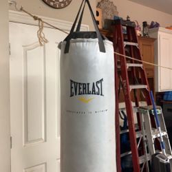 Everlast Punching Bag 