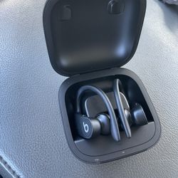 Beats Powerbeats Pro Wireless Earbuds