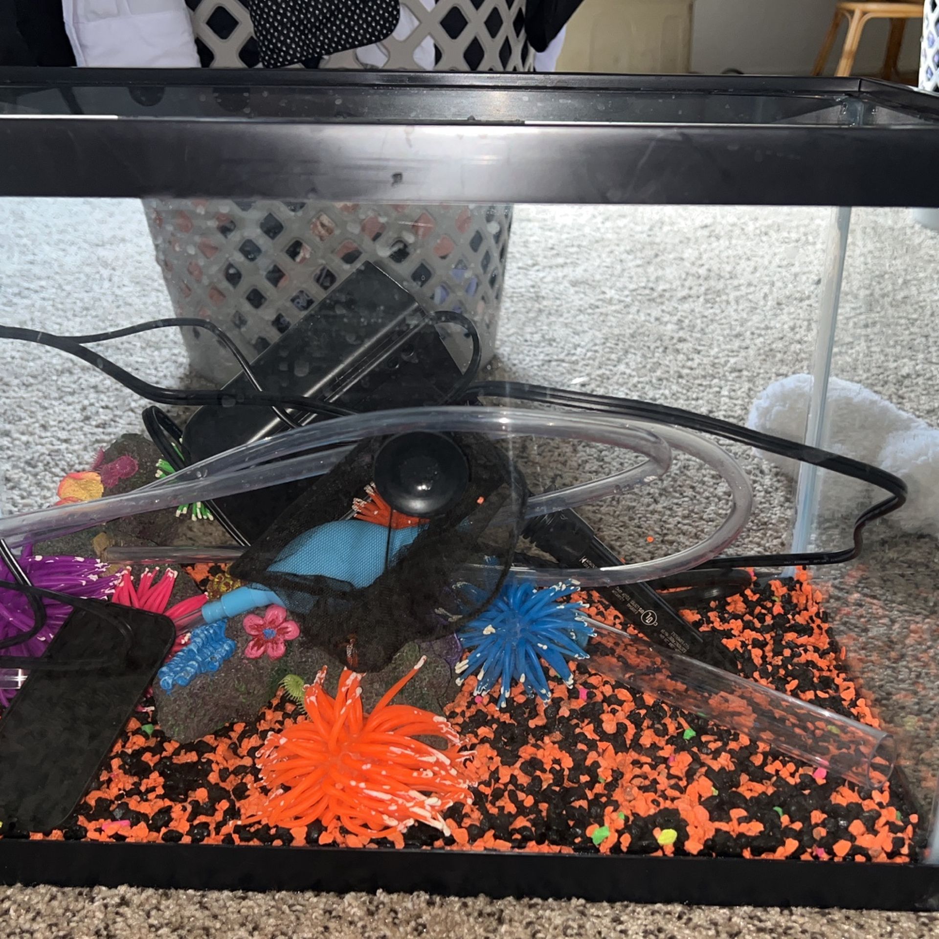 Fish Tank
