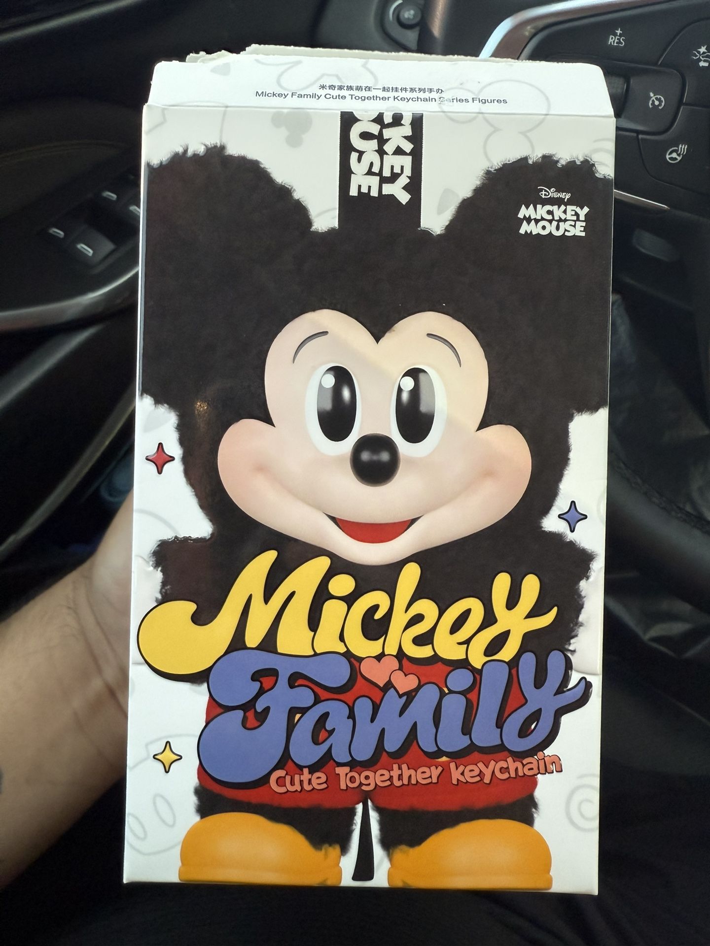 Mickey And Family