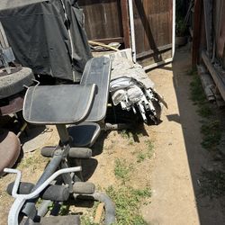Weight Golds Gym Bench