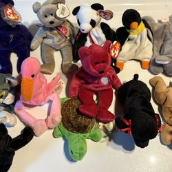 Beanie Babies Collection