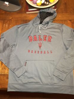 Hollister BALERS Baseball Hoodie Gray(L)