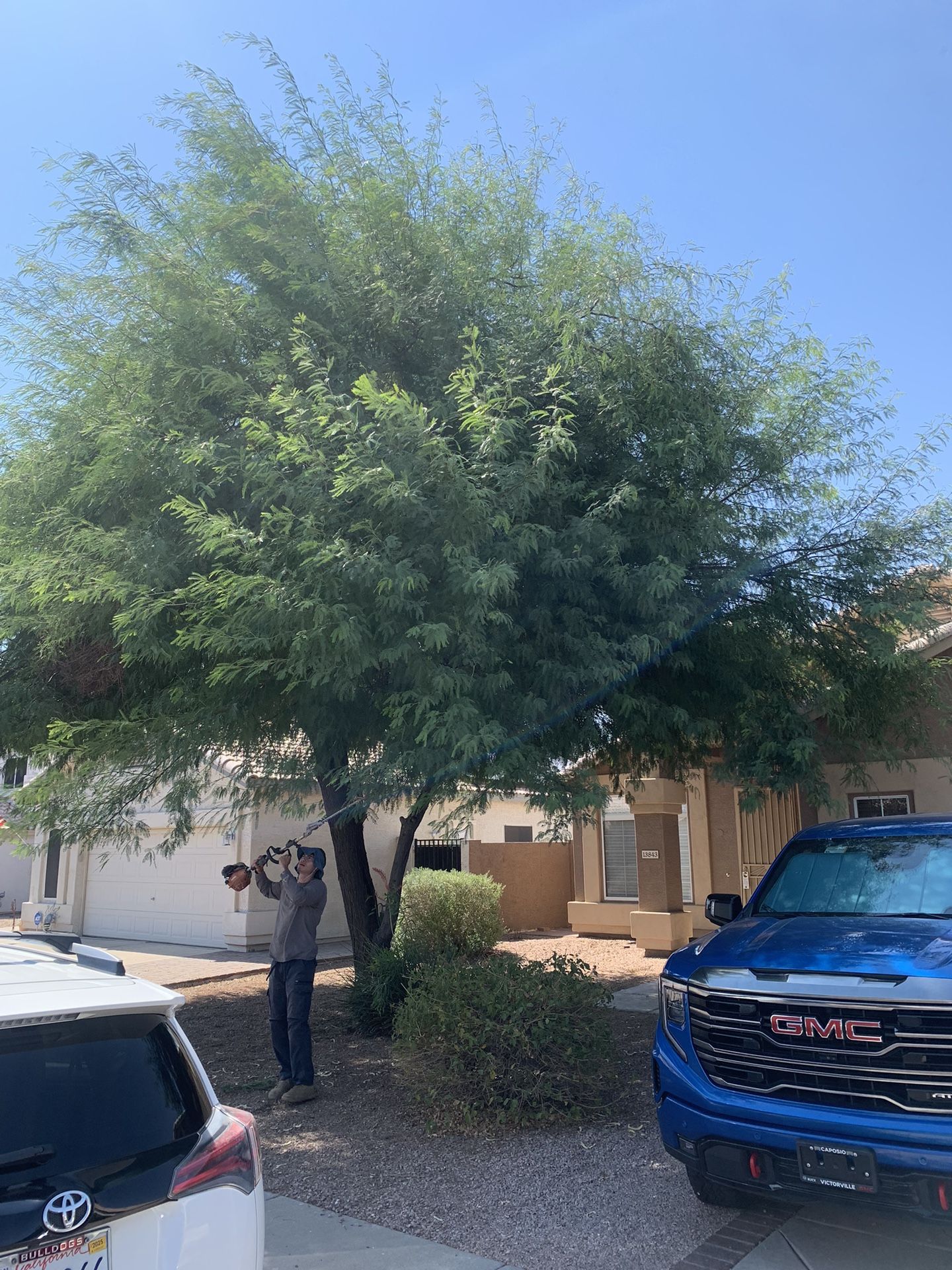 Tree Trimmer For Sale!