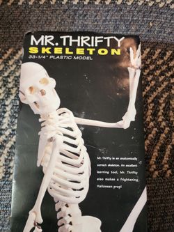 Mr Thrifty Skeleton