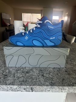 Jayson Tatum 3 Blue Print size 13