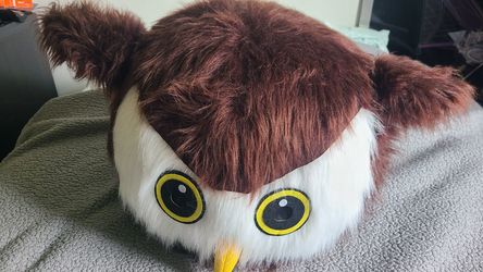 Owl 🦉 Costume