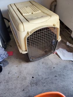 Dog kennels
