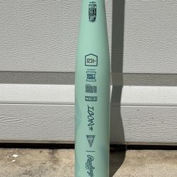 2026 Rawlings Icon Baseball Bat (Mint)