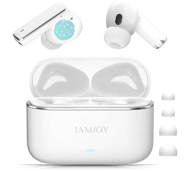 Language Translation Earbuds, 163 Language & Accents Two-Way Translator Device Built-in 6 Mics, 42dB Hybrid Dual Noise Cancelling Earbuds for Travel B