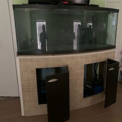 Fish Tank