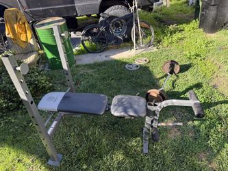 Gold's Gym XR 6.1 Multi-Position Weight Bench with Leg Developer