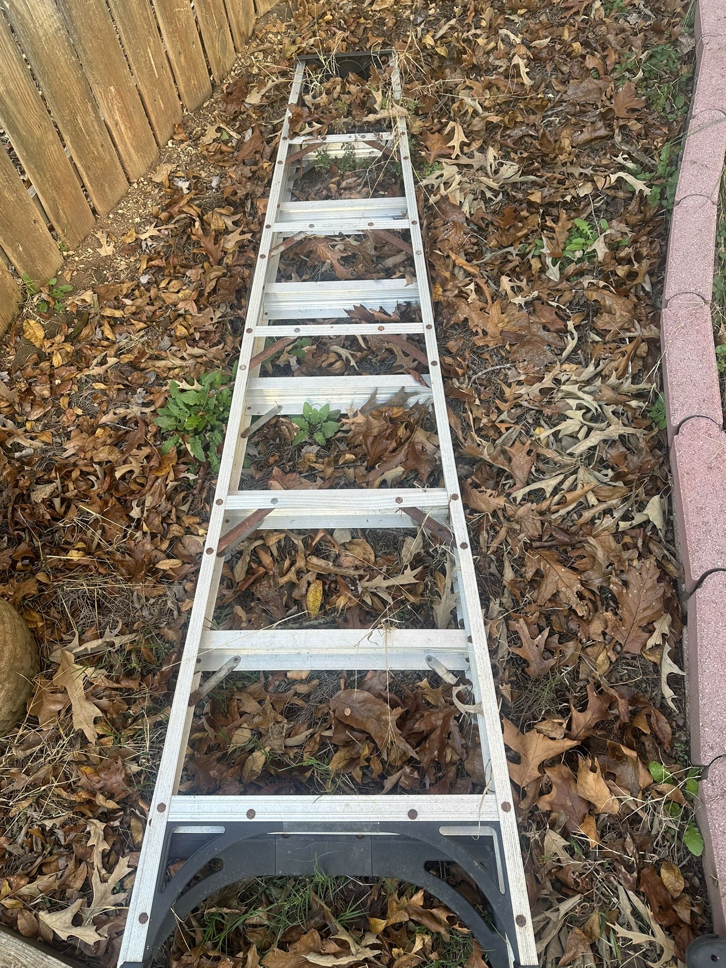 Aluminum Ladder