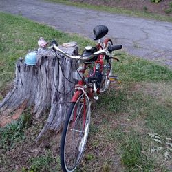 100cc Gasoline powered bicycle