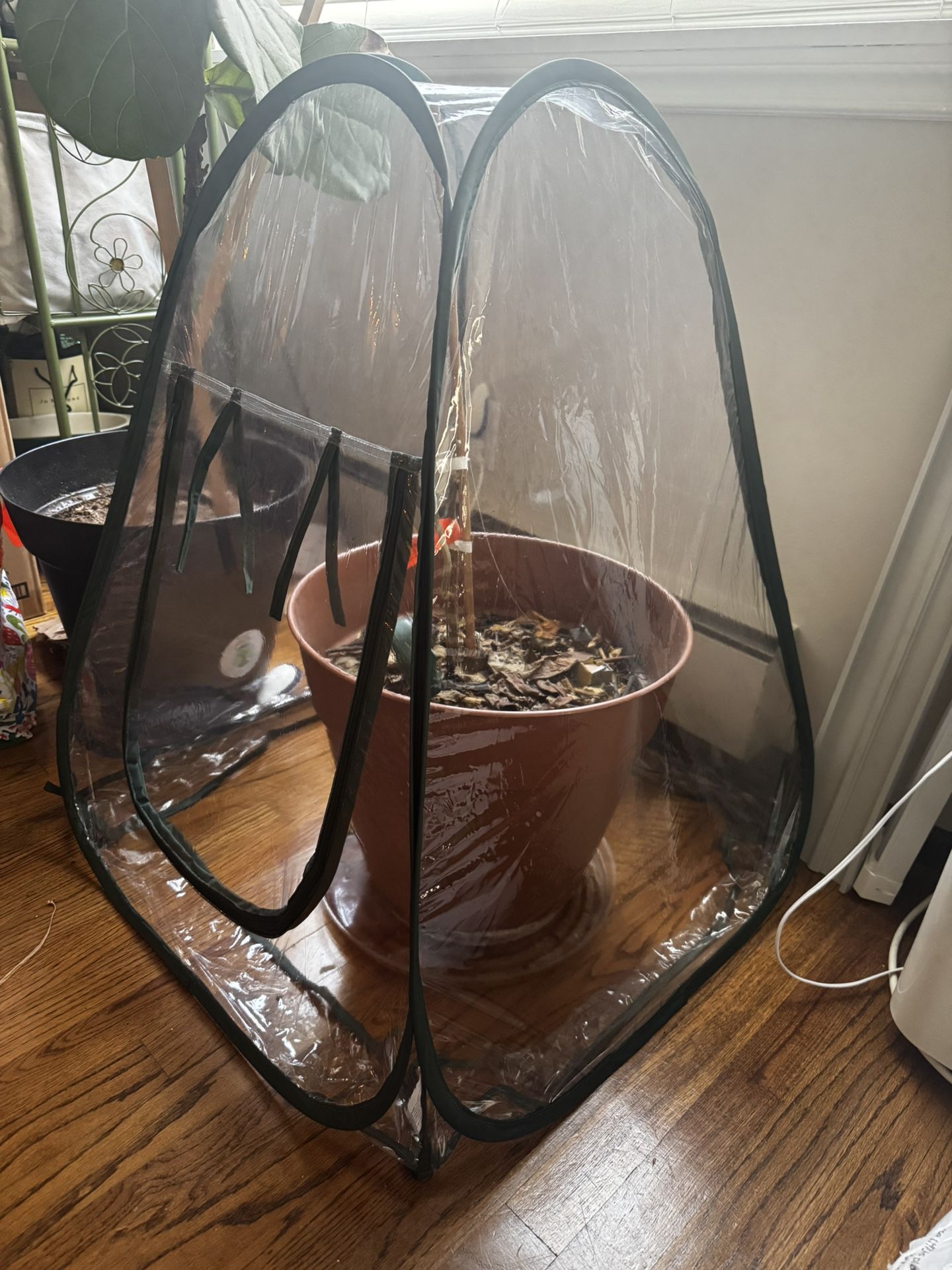  Green House For Single Plant 