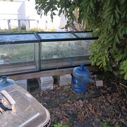 55 Gallon Fish Tanks 2