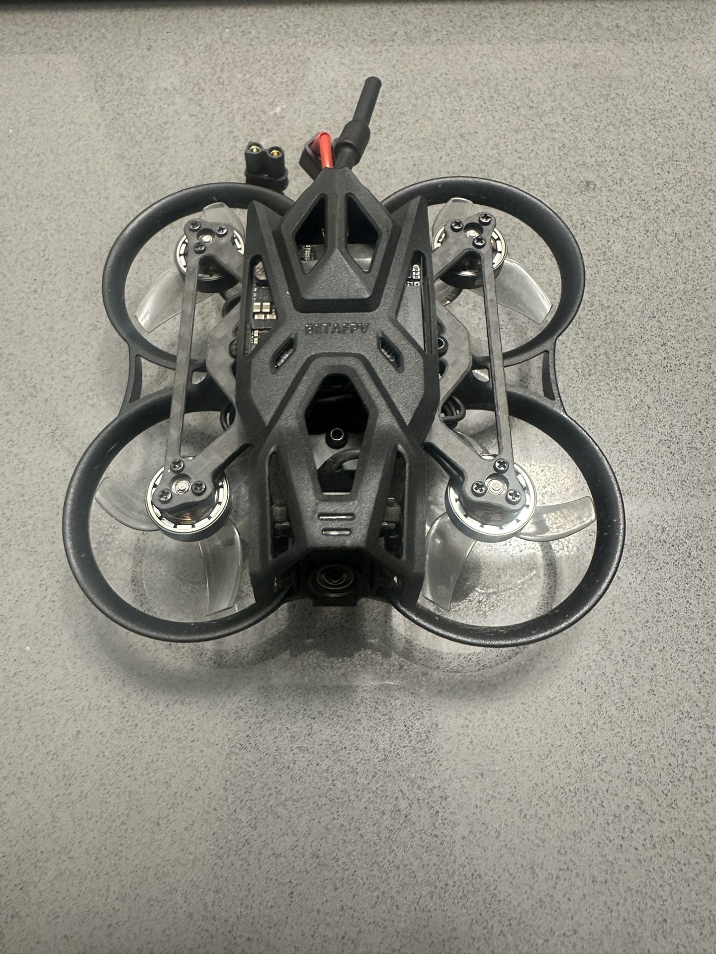 Pavo Femto With O4