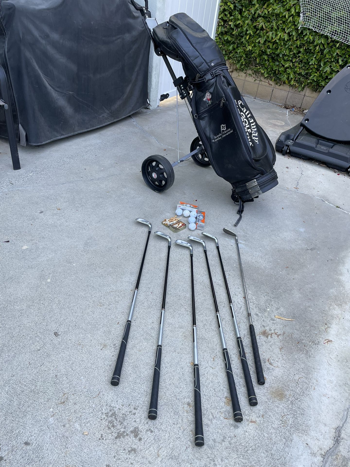 Golf Bag With Golf Caddy And Clubs And More