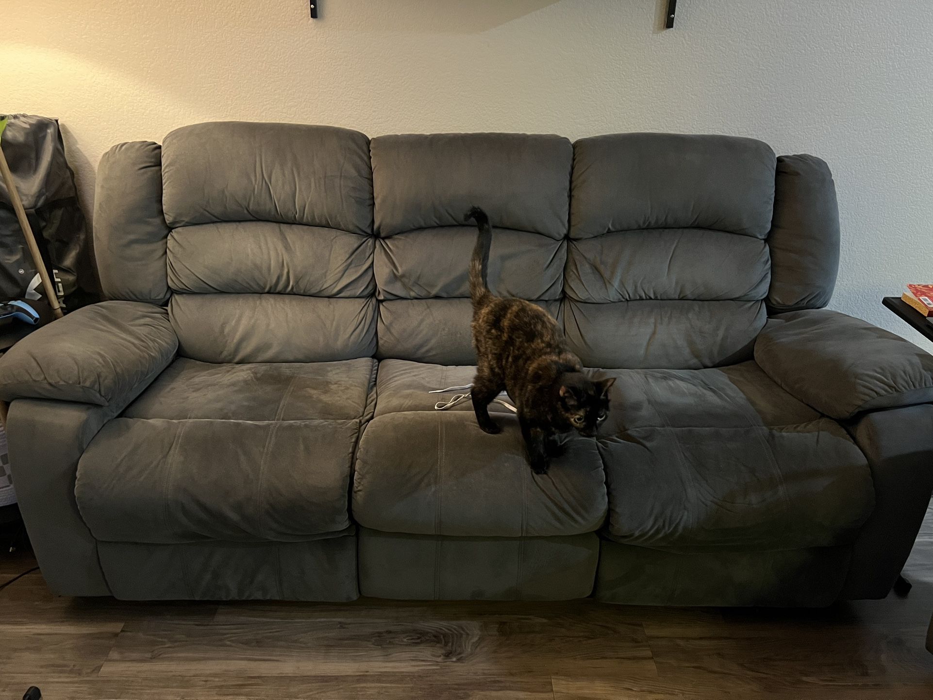 Gray Sofa Free
