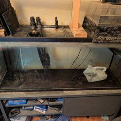 55 gallon aquarium with fluval fx4, stand light turtle topper