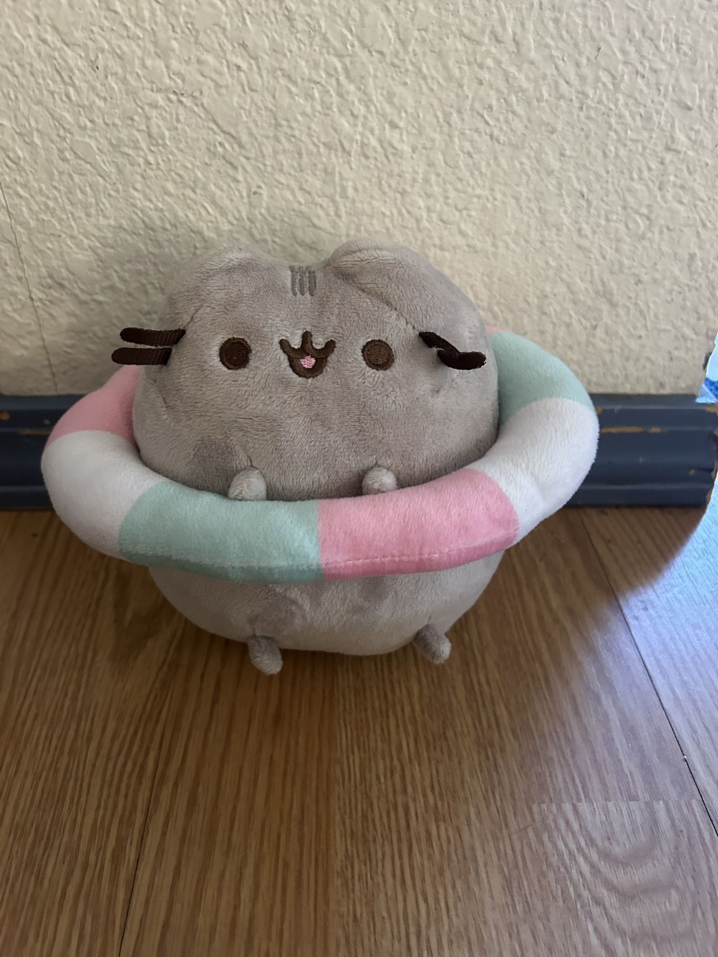Pusheen Box Exclusive Summer 2018 Inner striped tube swimming floatie plush