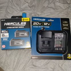 Hercules Battery Charger  And 2 Pack Battery Set