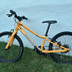 Kids 20 Inch  Cannodale Bike
