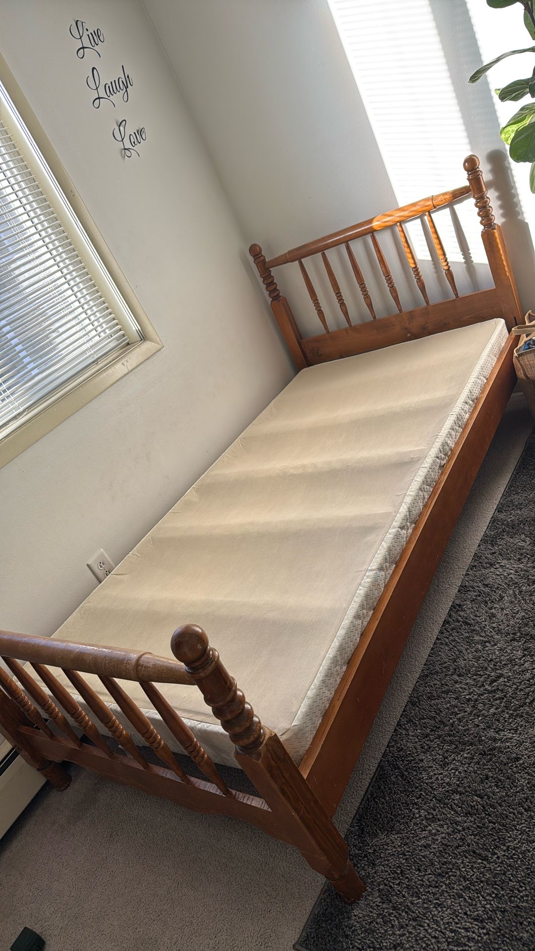 Twin Size Bed Frame & Box Spring