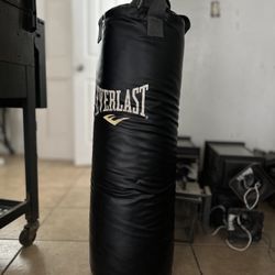 Punching Bag Everlast